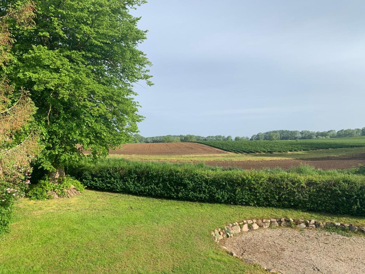 Reet Und Meer Beckerwitz Hohenkirchen (Nordwestmecklenburg) Exterior foto